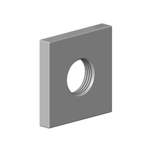Rozet 60x60x9mm Champagne (22kt Goud)
