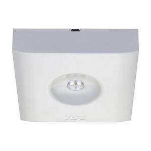 Noodverlichting opbouw vierkant centraal CG-S vluchtrouteverlichting