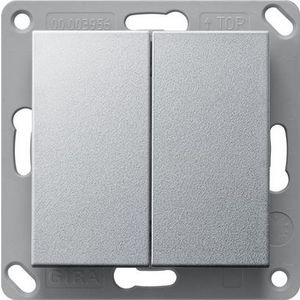BT wandzender 2-voudig System 55 kl.alum.