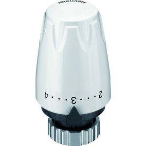 Thermostaatkop DX wit aansluiting M30