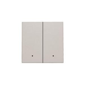 Afwerkingsset lens dubbele elektr. schakelaar/knop l.grey