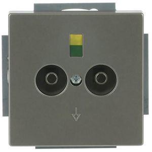 Aardingscontactdoos+Centraalplaat 2v inb pure-rvs (2095 UC-866)