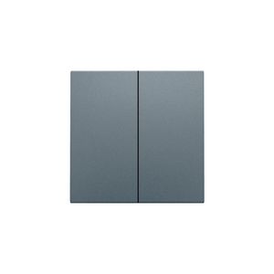 Afwerkingsset dubbele elektr. schakelaar /knop blue grey