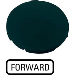 Indicatieplaatje vlak zwart "forward"