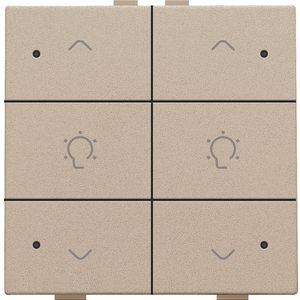 Dubbele dimbediening met led Home Control champagne