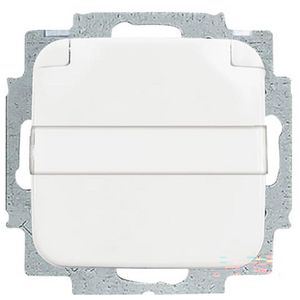 Tekstwandcontactdoos ra kv kd Centraalplaat inb R-alpin (20 EUKNB-214)