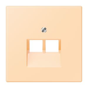 Afdekking 2-voudig tbv UAE LC32060