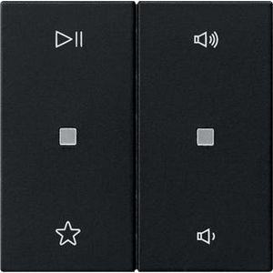 Wip 2-voudig audiobest. System 55 zwart m