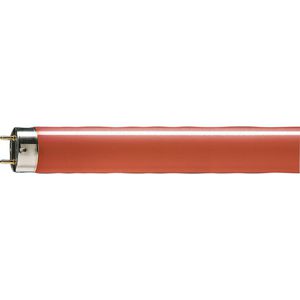 Doos a 25st. TL-D Colored 18W Red 1SL/25