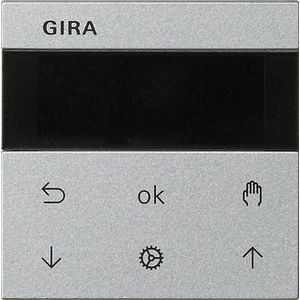 S3000 jl.-/schakelklok Display System 55 kl.alum.