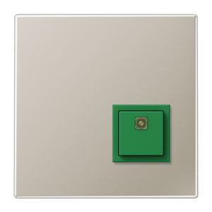 Nood afzetknop LS990 in edelstaal