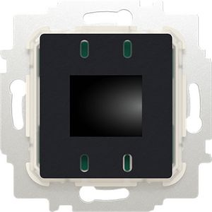 Ruimtethermostaat inb 24V AC BT