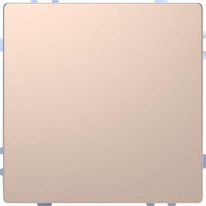 Drukknop Pro T Systeem Design Champagne metallic Mat Te
