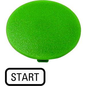 Indicatieplaatje paddestoel groen "start"