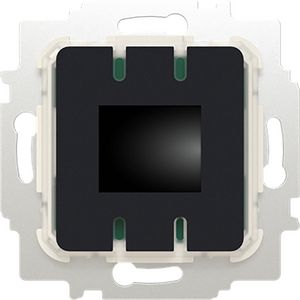 Ruimtethermostaat inb 230V AC BT