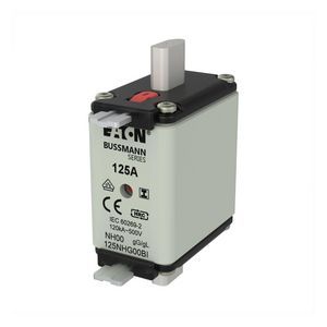 Zekering laagsp. 125A AC 500V NH00 gL/gG dubbele mel