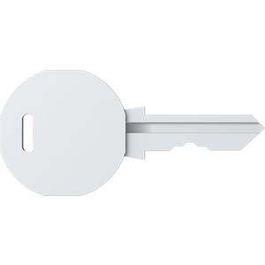 Sleutel V2432E (alleen voor eh-kasten) VVE=2