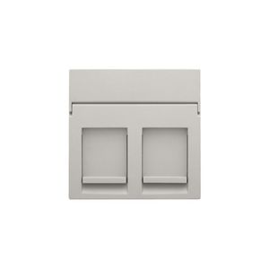 Centraalplaat data 2x RJ light grey