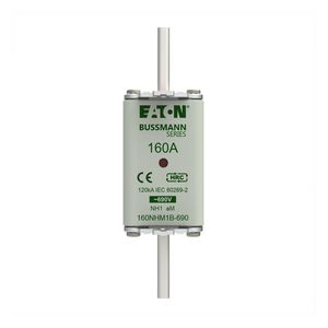 Zekering laagsp. 160A AC 690V NH1 aM dubbele melder VVE=3