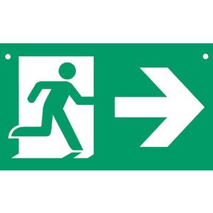 Pictogram noodverlichting LRE Smart