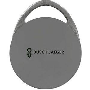 D081GY-03 Transponder key Tag Grijs