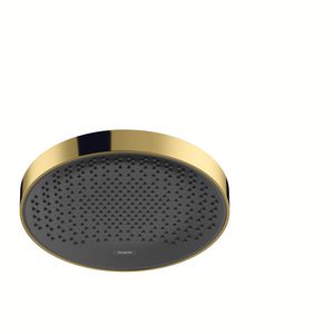 Hoofddouche Rainfinity 360 1 straalsoort plafond polished gold optic