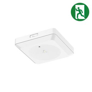 Noodverlichting Downlight 3W 148x148mm auto test wit