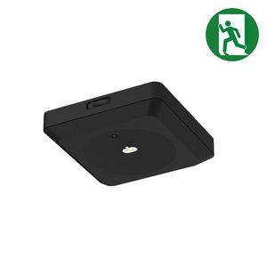 Noodverlichting Downlight 3W 148x148mm auto test zwart
