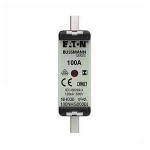 Zekering laagsp. 100A AC 500V NH000 gL/gG dubbele me VVE=3