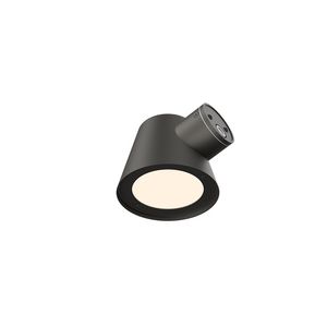 Wandlamp LED 008 3000K + 4000k Geborsteld metal black
