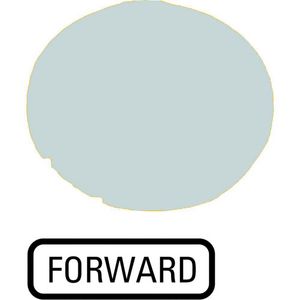 Lenzen vlak wit "forward"