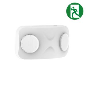 Noodverlichting 8W auto test wit