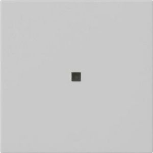 Wip 1-v onbedrukt ctrl.v. System 55 grijs m