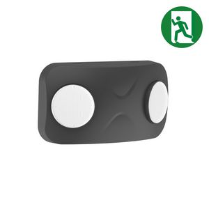 Noodverlichting 8W auto test zwart