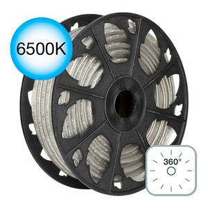 RoBust LED Rope 360° 25M 5W/m 420lm/m 6500K IP65