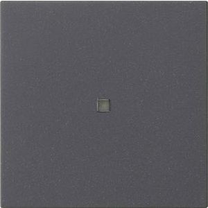 Wip 1-v onbedrukt ctrl.v. System 55 antraciet