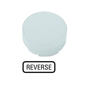 Lenzen hoog wit "reverse"