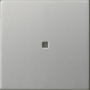 Wip 1-v onbedrukt ctrl.v. System 55 edelstaal