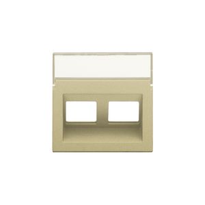 Centraalplaat data 2x RJ schuine uitgang gold coated