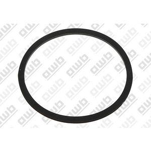 O-ring 0020221829