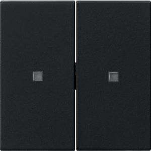 Wip 2-v onbedrukt ctrl.v. System 55 zwart m