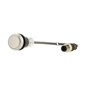 Drukknop RMQ Compact wit vlak terugv. 1no/0nc M12A-male P1