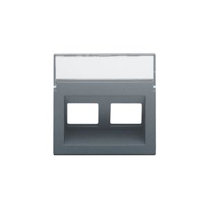 Centraalplaat data 2x RJ schuine uitgang blue grey coated