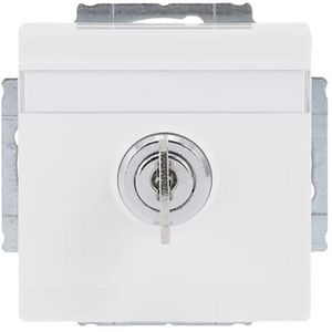 Tekstwandcontactdoos ra kv Centraalplaat kd+slot inb s-studio (20 EUKNBSL-84)