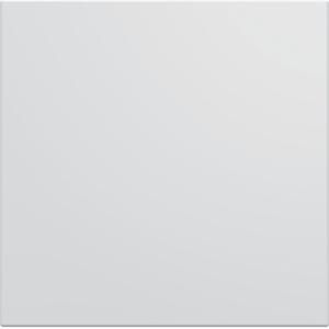 Blindplaat 45mm Gallery verkeerswit