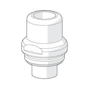 Spindellichaam