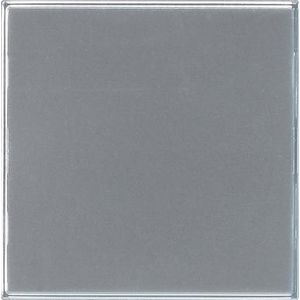 Bed.toets deurstation 1-voudig Gira TX_44 clear