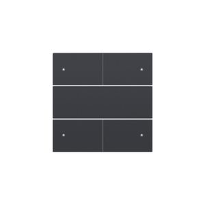 Afwerkingsset 4-voudige pot.vrij knop 24V Led anthracite
