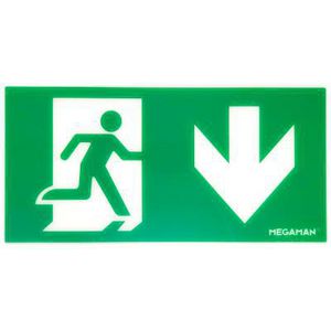 Pictogram TEMPUS pijl beneden MM12977