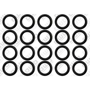 Set a 20st. O-ring S5466400